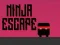 Jwèt Echap Ninja sou entènèt