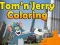Jwèt Koulè Tom ak Jerry sou entènèt