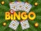 Jwèt Bingo Dekouvri sou entènèt