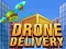 Jwèt Livrezon Dron sou entènèt