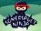 Jwèt Ninja Sòmèrsòlt sou entènèt