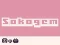 Jwèt Sokogem sou entènèt