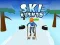 Jwèt Ski Rush 3D sou entènèt