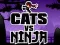 Jwèt Chat kont Ninja sou entènèt
