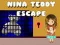 Jwèt Fè bak Nina Teddy sou entènèt