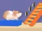 Jwèt Labirent Hamster sou entènèt Jwèt Labirent Hamster sou entènèt