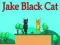 Jwèt Jake Chat Nwa sou entènèt