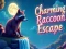 Jwèt Chape pon Raccoon sou entènèt
