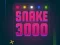 Jwèt Snake 3000 sou entènèt