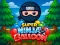 Jwèt Super Ninja Balloon sou entènèt