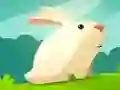Jwèt Lapin Gwezo sou entènèt Jwèt Lapin Gwezo sou entènèt