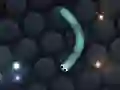 Jwèt Slither.io sou entènèt