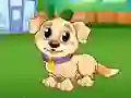 Jwèt Jou Jounen Jwe M Puppy sou entènèt Jwèt Jou Jounen Jwe M Puppy sou entènèt