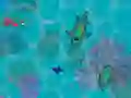 Jwèt Sharkz.io sou entènèt