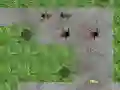 Jwèt Defans Tower Spider sou entènèt Jwèt Defans Tower Spider sou entènèt