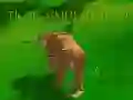 Jwèt Similatè Tig 3D sou entènèt