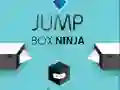 Jwèt Ninja Box Sote sou entènèt Jwèt Ninja Box Sote sou entènèt