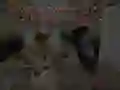 Jwèt Istwa Gardyen Nwit yo: Lopital Zombi sou entènèt Jwèt Istwa Gardyen Nwit yo: Lopital Zombi sou entènèt