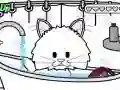 Jwèt Paw Pataje: Swen Chaton sou entènèt Jwèt Paw Pataje: Swen Chaton sou entènèt