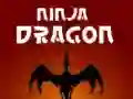 Jwèt Ninja Dragon sou entènèt Jwèt Ninja Dragon sou entènèt