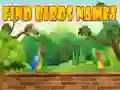 Jwèt Jwenn non zwazo yo sou entènèt Jwèt Jwenn non zwazo yo sou entènèt