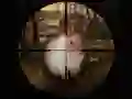 Jwèt Chas klasikal pou lapen sniper 2019 sou entènèt Jwèt Chas klasikal pou lapen sniper 2019 sou entènèt
