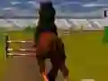 Jwèt Chwal Sote 3D sou entènèt