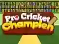 Jwèt Champyon Cricket Pro sou entènèt