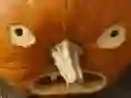 Jwèt 5 nan 1 Puzzel Imaj: Halloween sou entènèt Jwèt 5 nan 1 Puzzel Imaj: Halloween sou entènèt