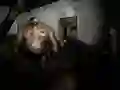 Jwèt Tann Silans sou entènèt Jwèt Tann Silans sou entènèt