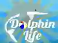 Jwèt Lavi Dolphin sou entènèt