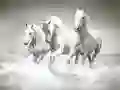 Jwèt Puzle Chwal sou entènèt Jwèt Puzle Chwal sou entènèt