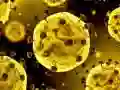 Jwèt Gwo Kòronaviris sou entènèt Jwèt Gwo Kòronaviris sou entènèt