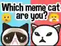 Jwèt Ki chat meme ou ye? sou entènèt Jwèt Ki chat meme ou ye? sou entènèt