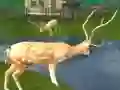 Jwèt Sou entènèt jwèt Deer Lachas Tirè pwofesyonèl Fiziyad  sou entènèt
