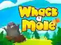 Jwèt Kòndwi a truffe sou entènèt Jwèt Kòndwi a truffe sou entènèt