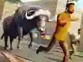 Jwèt Similatè Rèn Atak Karib Dézèf, Similasyon Ladann sou entènèt Jwèt Similatè Rèn Atak Karib Dézèf, Similasyon Ladann sou entènèt