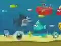 Jwèt Reken Fou sou entènèt Jwèt Reken Fou sou entènèt