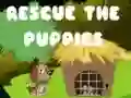 Jwèt Sove chiot yo sou entènèt Jwèt Sove chiot yo sou entènèt