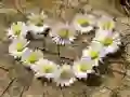Jwèt Puzzle "Kè koule" sou entènèt Jwèt Puzzle "Kè koule" sou entènèt