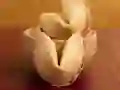 Jwèt Biskwit chans sou entènèt Jwèt Biskwit chans sou entènèt