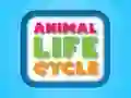Jwèt Sik Vital Animal yo sou entènèt Jwèt Sik Vital Animal yo sou entènèt