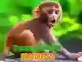 Jwèt Maki ti a ri bèl sou entènèt Jwèt Maki ti a ri bèl sou entènèt