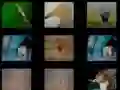 Jwèt Memwa Bèt sou entènèt Jwèt Memwa Bèt sou entènèt