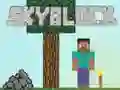 Jwèt Blòk Syèl sou entènèt