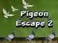 Jwèt Sòti Pigeon 2 sou entènèt Jwèt Sòti Pigeon 2 sou entènèt