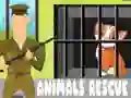 Jwèt Reskò Bèt sou entènèt Jwèt Reskò Bèt sou entènèt