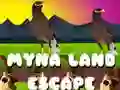 Jwèt Koch soti nan peyi Myna sou entènèt Jwèt Koch soti nan peyi Myna sou entènèt