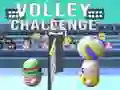 Jwèt Defi Voley sou entènèt