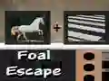 Jwèt Fui foal sou entènèt Jwèt Fui foal sou entènèt